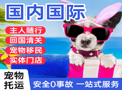 吐鲁番交河机场托运国际宠物托运 【国